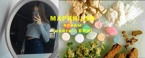 PSILOCYBIN Беломорск