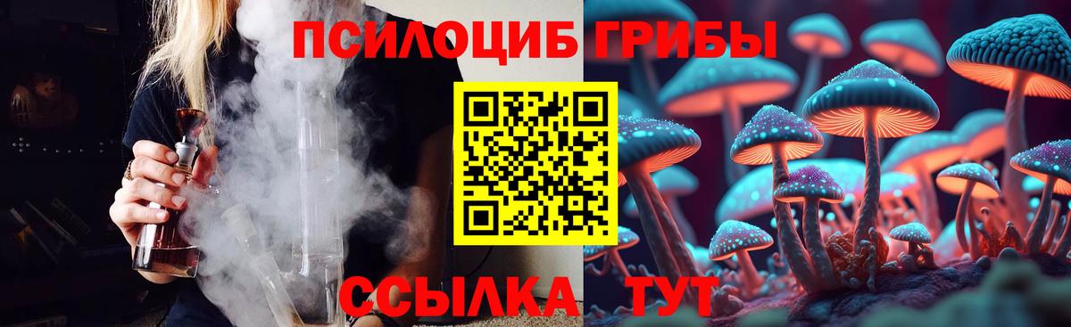 Псилоцибиновые грибы Cubensis  Вход с VPN  Богданович 